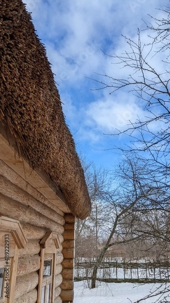 Obraz house in winter