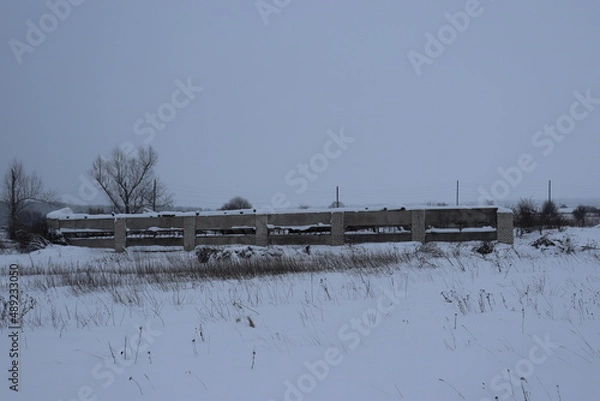 Obraz природа