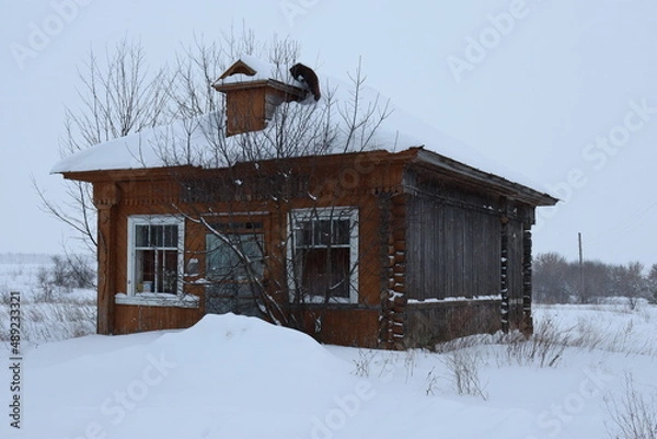 Obraz природа