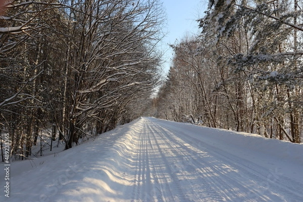 Obraz природа