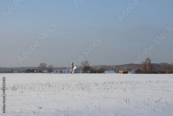 Obraz природа