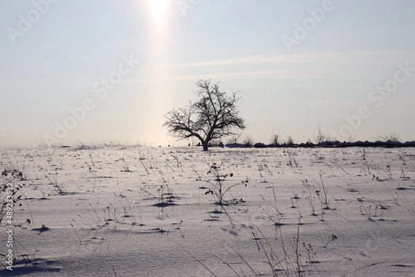 Obraz природа