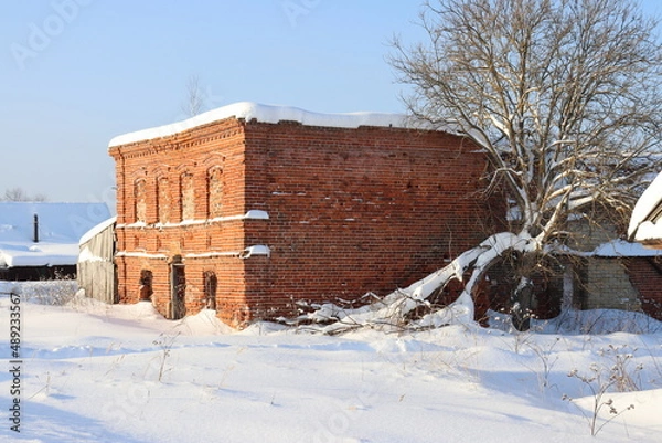 Obraz природа