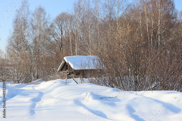 Obraz природа