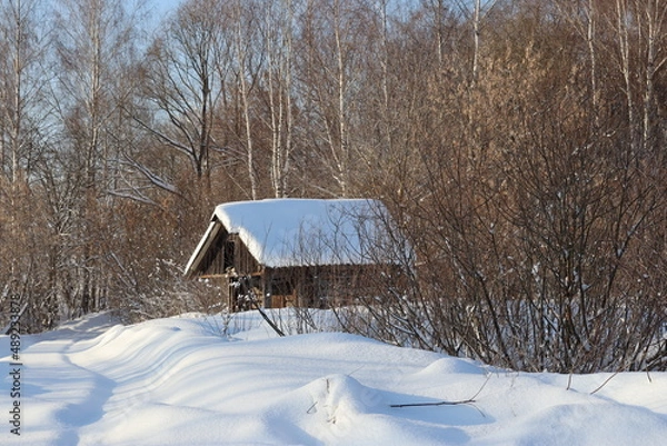 Obraz природа