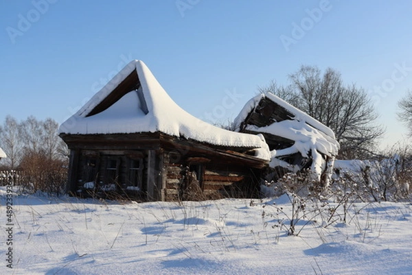 Obraz природа