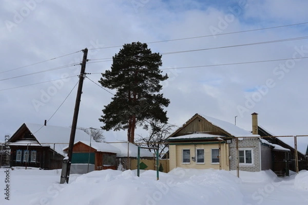 Obraz природа