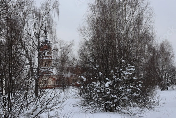 Obraz природа