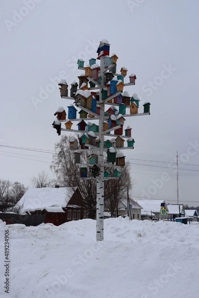 Obraz природа