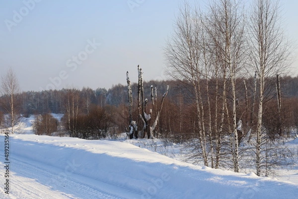 Obraz природа