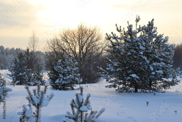 Obraz природа