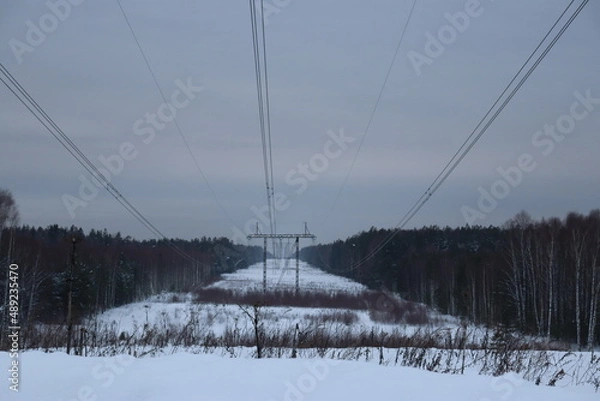 Obraz природа