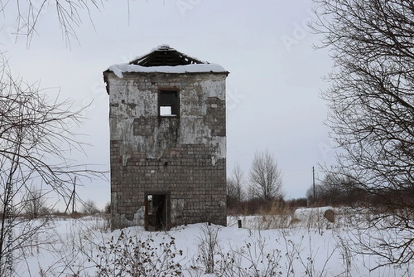 Obraz природа