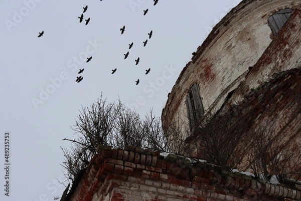 Obraz природа