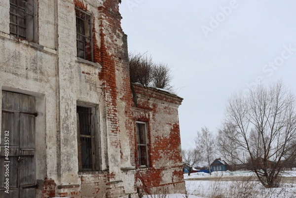 Obraz природа