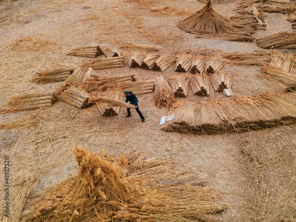 Fototapeta wicker workers