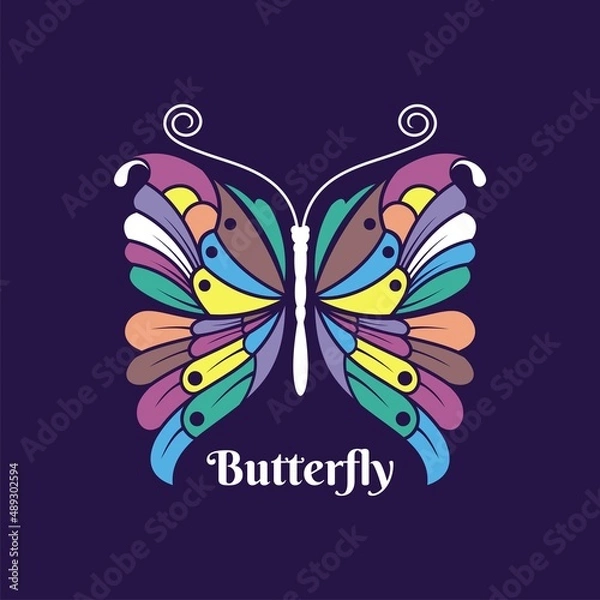 Fototapeta Butterfly vector and illustration in colorful design