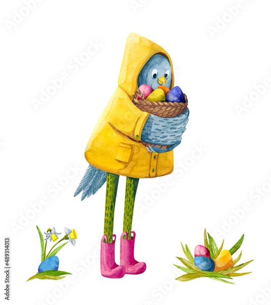 Fototapeta Funny bird character with a basket of eggs and daffodils for Easter greeting card. Cute chicken in a yellow raincoat and rubber pink boots made in watercolor.