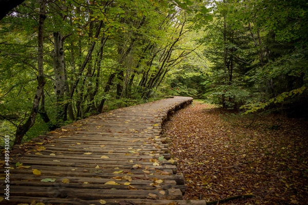 Obraz waterfall plitvice in Croatia