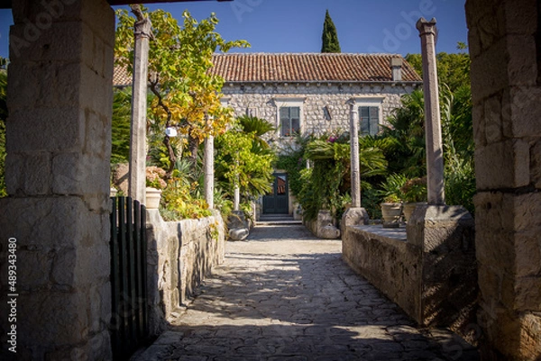 Obraz Croatia landscape house