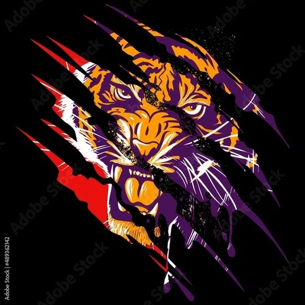 Obraz Roaring, angry tiger face, vector tiger head illustration with the claws scratch.