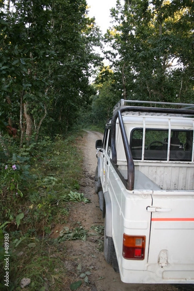 Obraz jeep safari