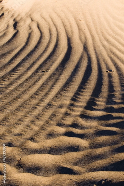 Obraz ripples in the sand
