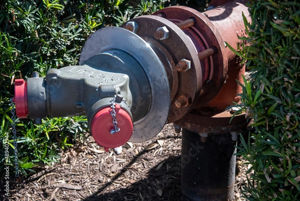 Obraz fire hydrant in a park