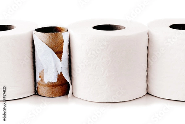 Fototapeta Toilet paper rolls in a row