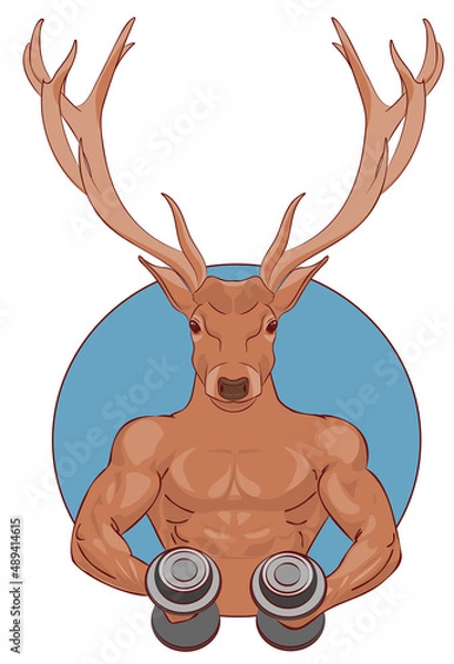 Fototapeta Portrait of an anthropomorphic muscular strong deer with two dumbbells in his hands. The concept of training in the gym, exercises, sports. Vector illustration in lineart style