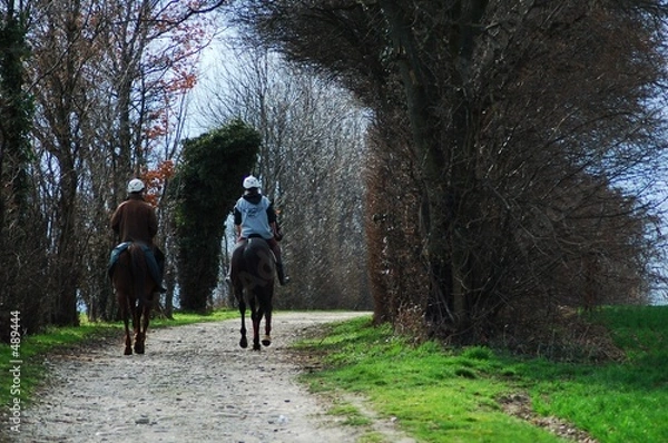 Fototapeta promenade à cheval