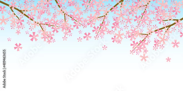 Fototapeta 桜　和柄　水彩　背景