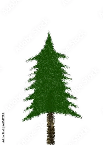 Obraz Pine tree in rain