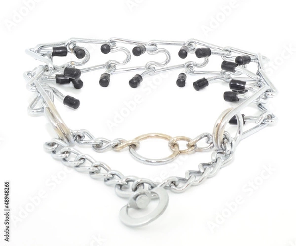 Fototapeta Collar de castigo