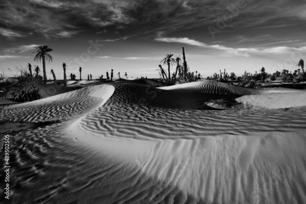 Obraz dune in the dessert