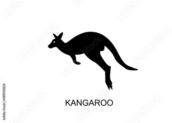 Obraz vector kangaroo jump silhouette illustration 