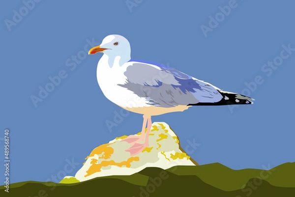 Fototapeta Seagull on a stone against the sky. Vector illustration.
