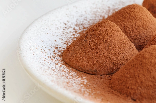 Obraz Chocolate truffle