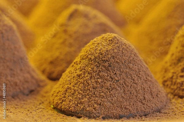 Obraz Praline composition - Chocolate truffle