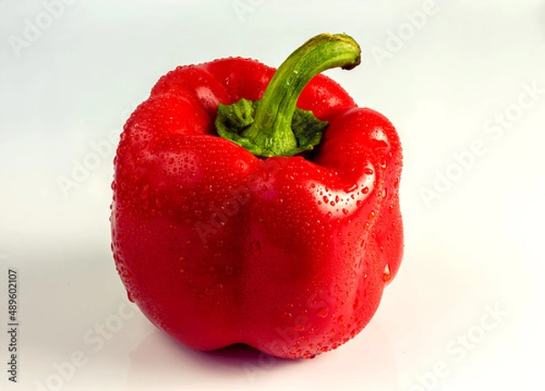 Obraz Red pepper close-up on a light background.