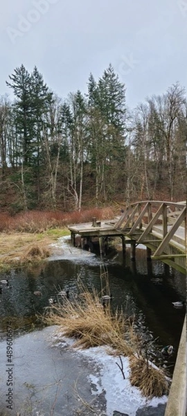 Fototapeta bridge over the river