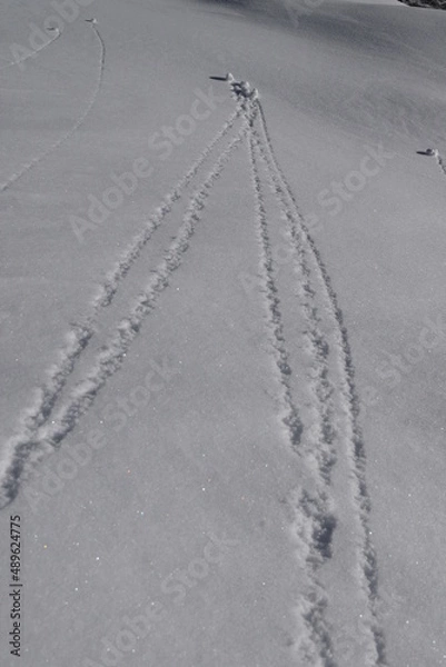 Obraz Trails in snows created by tiny snowballs
