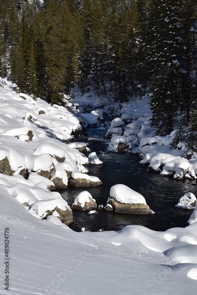 Obraz River running through trees and snow-covered rocks