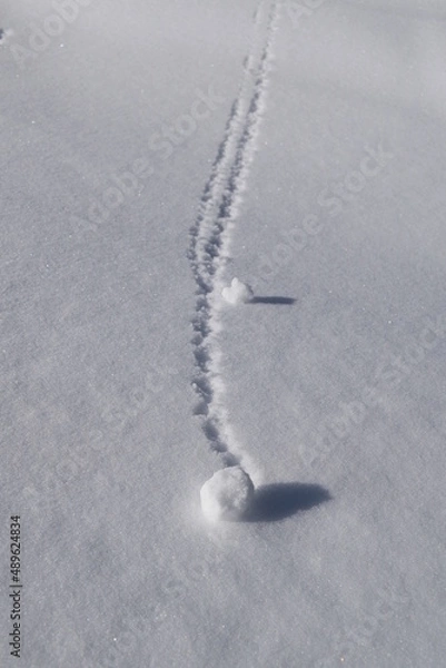 Obraz Trails in snow created by tiny snow balls