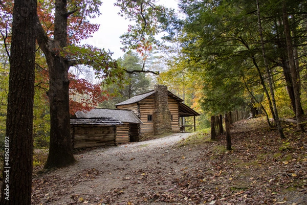 Obraz Fall Cabin