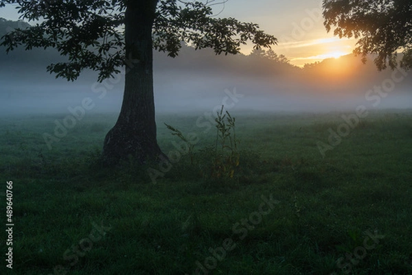 Fototapeta カヤノ平の輝き