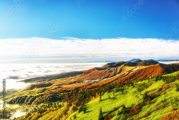 Obraz 【群馬県】志賀草津高原道路の渋峠