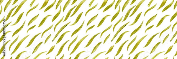 Fototapeta Watercolour panoramic seamless pattern with green cattail leaves. Cute minimal summer endless background on botany theme.