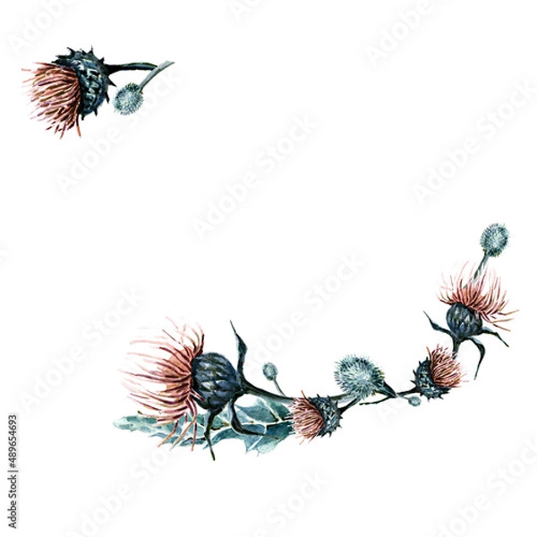 Obraz watercolor illustration burdock   with leaves for a frame,invitation or decor