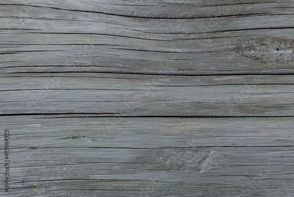 Obraz 白い木の木目